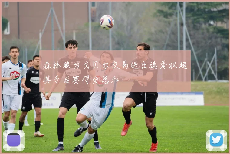 森林狼为戈贝尔交易送出选秀权超其季后赛得分总和